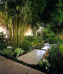 You can still do bamboo. Irregular Path Hi Low Plants Backyard Garden Landscape Bamboo Landscape Garden Landscape Design