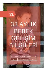 ay ay bebek gelisimi bilgileri 33 aylik bebek gelisimi bebek gelisi bebek bebek basi