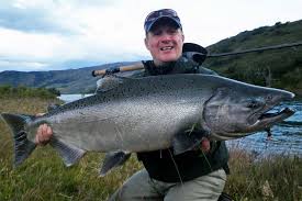 Nice King Salmon On The Fly Chinook Fish Walleye Fishing Tips Crappie Fishing Tips