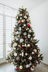 See decorated christmas tree stock video clips. 1000 Christmas Tree Pictures Download Free Images On Unsplash