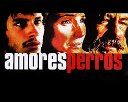 Amores Perros 2000 Plot Explained This Is Barry