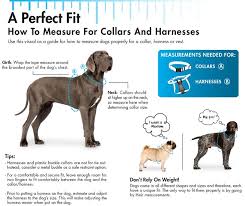 Grooming Sizing Guide