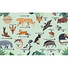 I was reading through this section, and i decided to read more about the arctic fox (listed as extinct the information in the article covers the whole of the british isles; Extinct An Illustrated Exploration Of Animals That Have Disappeared Amazon Co Uk Riera Lucas 9781838660376 Books
