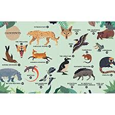 It's still unclear whether this large cat is technically extinct—there are occasional unconfirmed sightings. Extinct An Illustrated Exploration Of Animals That Have Disappeared Amazon Co Uk Riera Lucas 9781838660376 Books