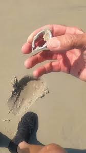 The Couple That Digs Together