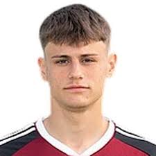 Profile D. Tomic, : Info, news, matches and statistics