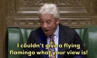 John bercow is standing down as commons speaker on thursday after 10 years in the job. Speaker Bercow Gifs Get The Best Gif On Giphy
