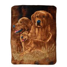 As good as gold has rescued over 2,789 golden retrievers since may, 2003. 27 Best Golden Retriever Gifts For Dog Lovers And Owners
