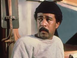 Becoming Richard Pryor by Scott Saul, book review: Magisterial biography of  a comic genius