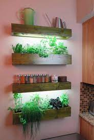 We did not find results for: Indoor Growing Under Lights With Leslie Halleck A Way To Garden