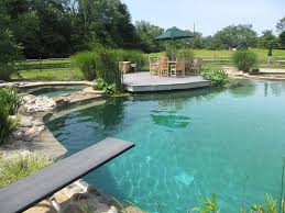 Turn your backyard into a wonderland of excitement. Backyard Pond With Natural Swimming Pool And Beach Reflections Water Gardens