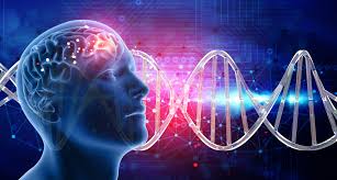 The parkinson's foundation makes life better for people with parkinson's disease by improving care and advancing research toward a cure. Forschungsinitiative Zu Genetischen Veranderungen Bei Parkinson