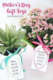 Mother S Day Plant Printable Gift Tags Mothers Day Plants Mothers Day Decor Diy Mother S Day Crafts