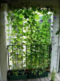 We did not find results for: 56 Diy Privacy Screens Screen Ideas Diy Privacy Screen Room Divider Screen Privacy Screen