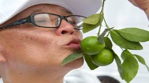 Últimas noticias de javier wong hoy Sábado 9 agosto