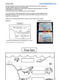 This zone is the only part of the ocean with plants and. Ocean Zones Wn