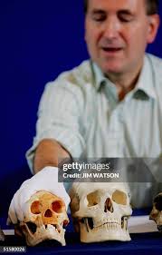 291 Chris Scull Stock Photos, High-Res Pictures, and Images