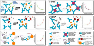 Homogenous Enzyme Immunoassay - Creative Biolabs