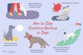 Remember to start small by rewarding them for being quiet for just a few seconds, then working up to longer periods of quiet. Reasons Why Dogs Bark Excessively And How To Stop It