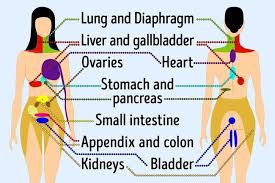 Pin On Health And Wellness