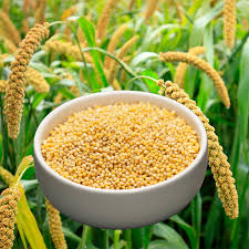 ASA Millets