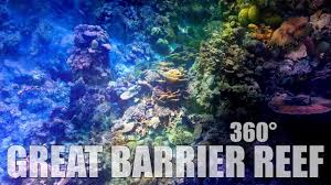 Great barrier reef, cairns, qld. Vhs Bad Waldsee De Fileadmin User Upload Great Jpg