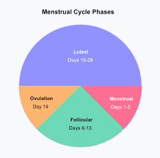 Image result for cervix position