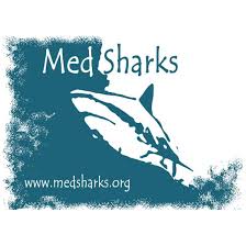 Le l'animale catturato in video è uno splendido rappresentante dello squalo elefante, una specie che. Operazione Squalo Elefante Museo Di Storia Naturale