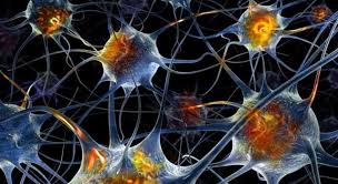 Keep in mind that no result here is any kind of diagnosis of impairment or anything more than a suggestion of where you stand. Which Of The Below Is Not A Trivia Questions Quizzclub