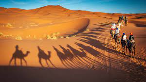 The village is known for its proximity to erg chebbi. Merzouga 2021 Top 10 Tours Activities With Photos Things To Do In Merzouga Morocco Getyourguide