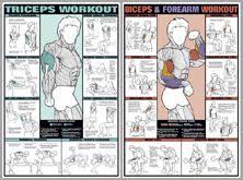 Co Ed Leg Workout Professional Fitness Gym Wall Chart Poster