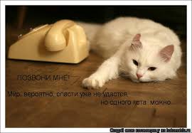 музыка я знаю твой телефон но никогда не позвоню Skachat Mp3 Ya Znayu Tvoj Telefon No Ne Kogda Ne Pozvonyu Ot Neizvesten