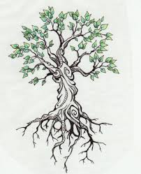 I Like These Leaves Not Too Much Not Too Little I Don T Want Just Branches But Don T Want A Huge Canopy E Tree Tattoo Designs Tree Roots Tattoo Roots Tattoo