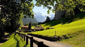 Switzerland Google Da Ara Switzerland Wallpaper Switzerland Photography Colorado Springs Camping