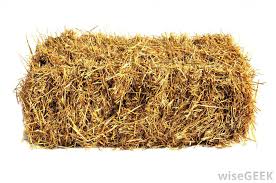 If the nutrient quality is poor, then the horse will require more hay (by weight). What Does It Mean To Say Hay Is For Horses With Pictures