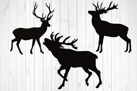 Download Deer Svg Graphic By Rayan Creative Fabrica PSD Mockup Templates
