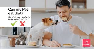 We did not find results for: Can My Pet Eat A List Of Human Foods That Pets Can And Can T Eat