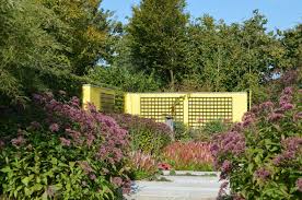 Licht En Donker De Tuinen Van Appeltern Tuin Schaduwplanten Tuin Werken