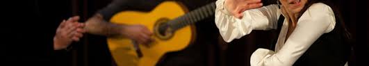 La comunidad gitanos de españa pretende intercambiar conocimientos, costumbres y experiencias. Flamenco Sevilla Spanien