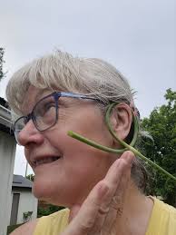 What are some garlic scape recipes and preservation methods?