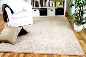 Dieser robuste teppich ist aufgrund seiner größe und langlebigkeit besonders gut für den flur geeignet. Hochflor Velours Teppich Mona Natur