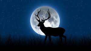 The full moon for the month of july is called buck moon, as new antlers emerge from bucks' foreheads around this time of the year. Buck Moon Eclipse How When And Where To See It Star Walk