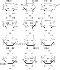 Because all the horizontal bonds are wedges, the fischer projection is drawn in the eclipsed configuration. 2 Carb 5