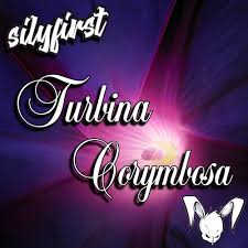 Image result for Turbina corymbosa