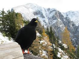 IMG_1279 | ragneg | Flickr