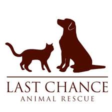 Here are pups of all ages available for adoption from several local shelters. Last Chance Animal Rescue Home Facebook