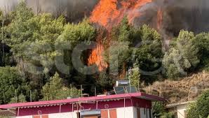 Δύο πρόεδροι τοπικών κοινοτήτων του δήμου αιγιαλείας που επλήγησαν από την φωτιά στην αχαΐα περιγράφουν τα γεγονότα όπως. Thmgy9blo4n8em