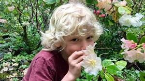 Fundraiser for Nicholas Hinz by Tara Orender : Miela Ki's Hopechest