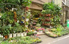 Check spelling or type a new query. Where To Get Gardening Supplies In Tokyo Rethink Tokyo