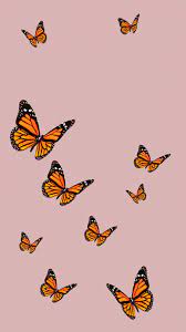 The image can be easily used for any free creative project. Aesthetic Butterfly Iphone Wallpapers Wallpaper Cave